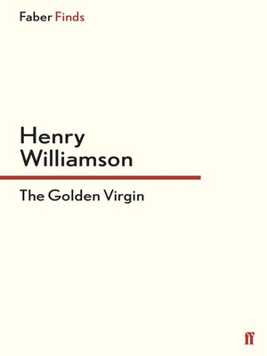 cover image of The Golden Virgin